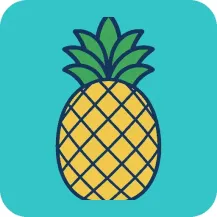 j9｜玛雅题材新作登场：命运之轮在神庙丛林间转动｜月度快报·移动端看点 新闻配图 1